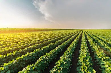 Sainte-Anne-des-Plaines annonce son programme de subvention pour l’affichage agricole