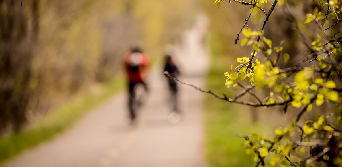 Cet été particulier amènera de nombreux visiteurs de proximité. Les cyclistes aguerris devront partager la piste avec familles et néophytes.