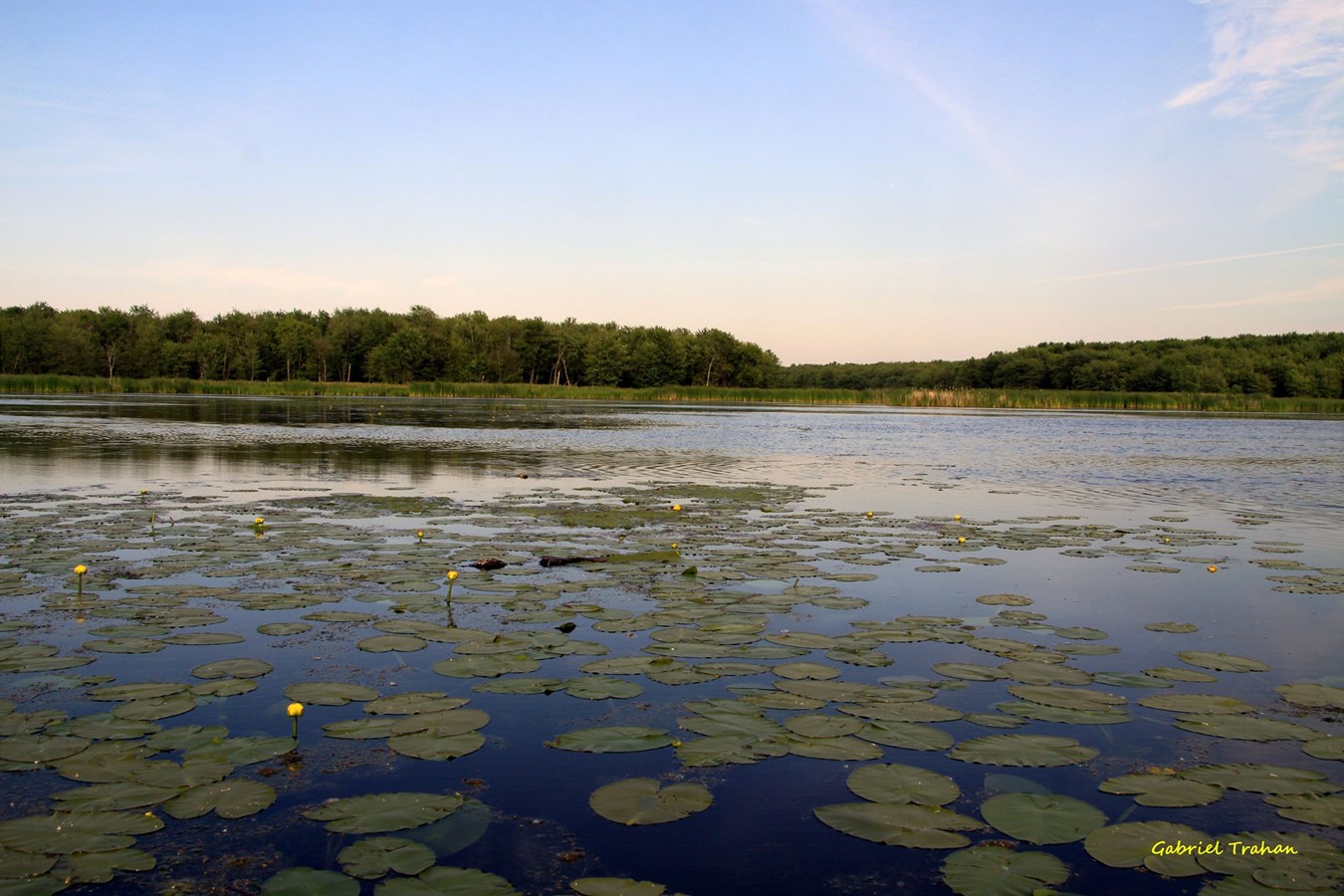 La direction de santé publique des Laurentides entérine les mesures déployées par la Sépaq pour la réouverture du parc national d’Oka