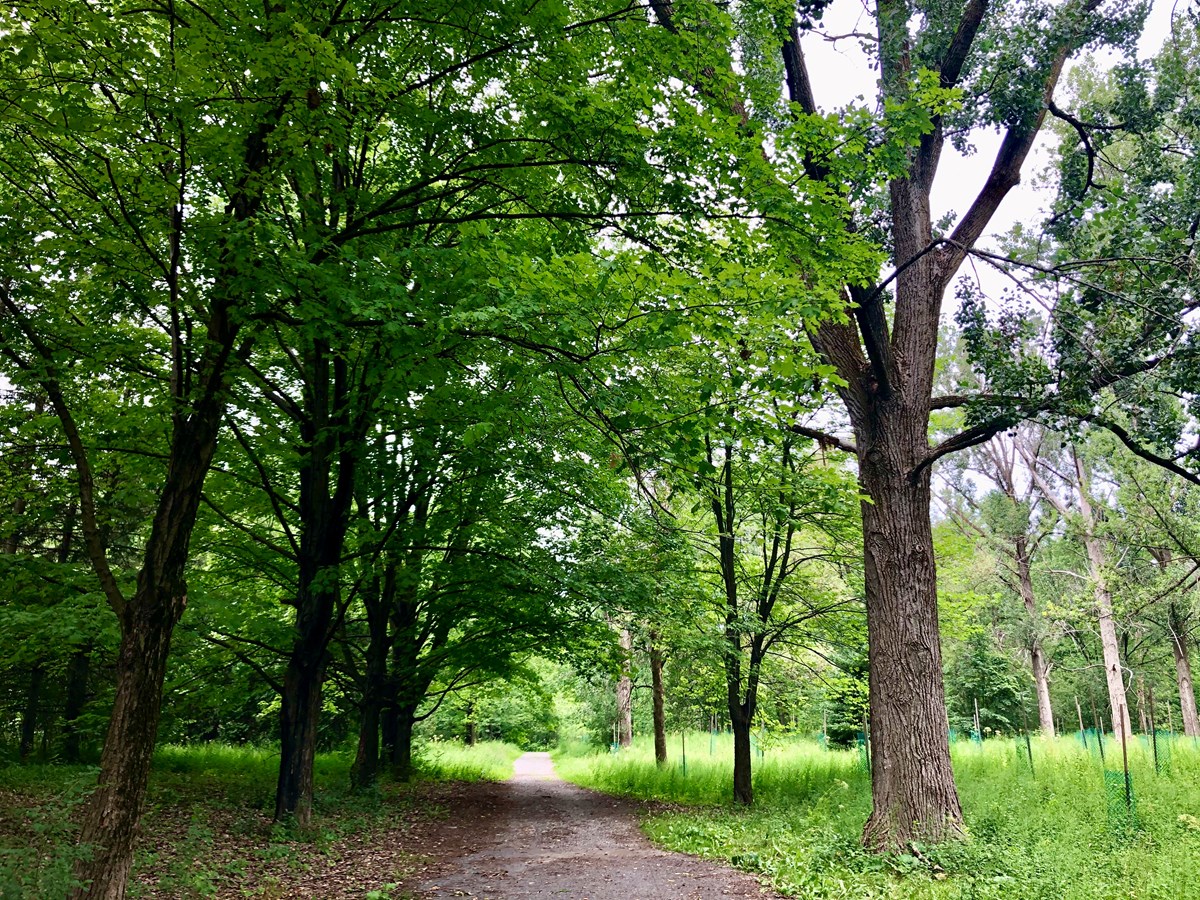 En prêtant l’oreille, en respirant les parfums et en ouvrant bien grand les yeux, il y a fort à parier que les participants découvriront la Forêt des Frères du Sacré-Cœur sous un nouveau jour.