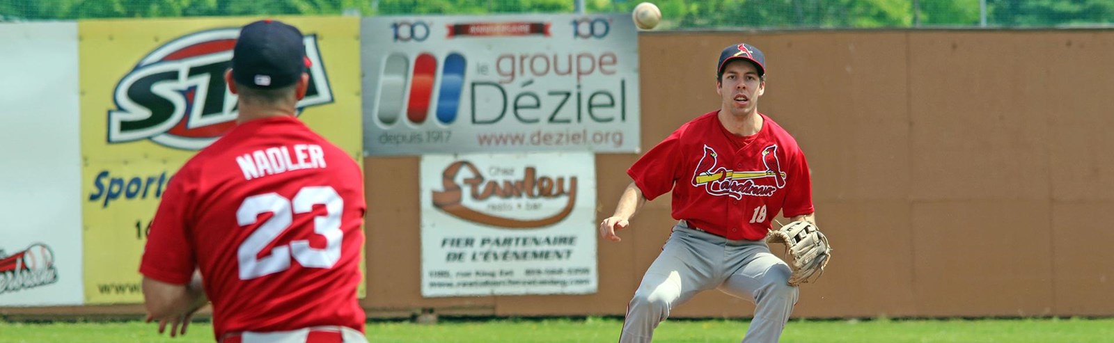 Les positions trois et quatre sont actuellement occupées par les Cardinaux de Sainte-Thérèse avec une fiche de trois victoires et huit défaites et les Brewers de Montréal avec un dossier de trois victoires et dix défaites. Deux duels se préparent entre ces formations mardi et jeudi.
