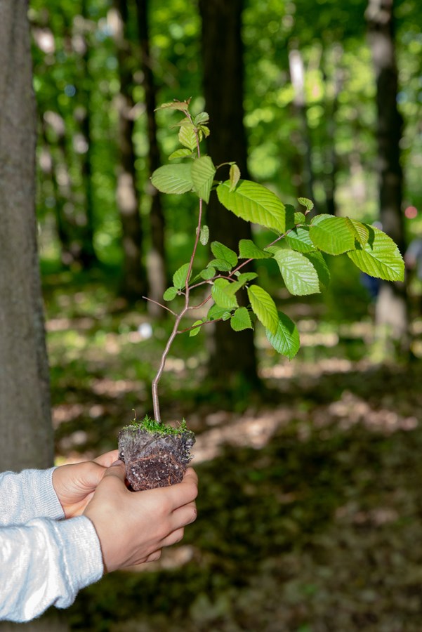 Un levier financier pour réaliser des projets environnementaux à Rosemère