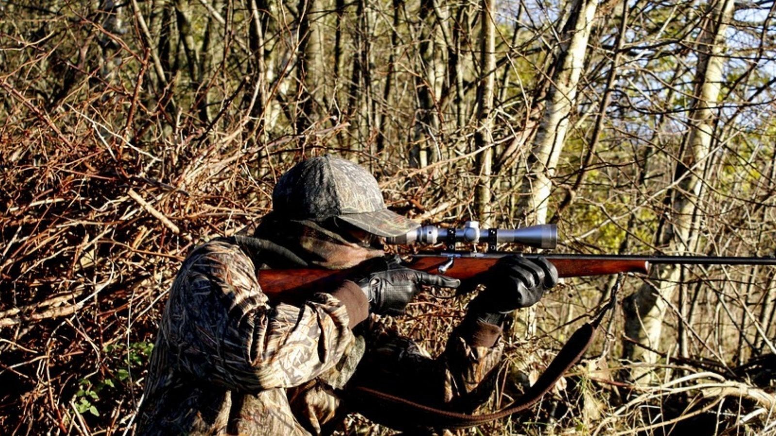 Chasse et piégeage : Québec reconduit l’enregistrement en ligne du gibier