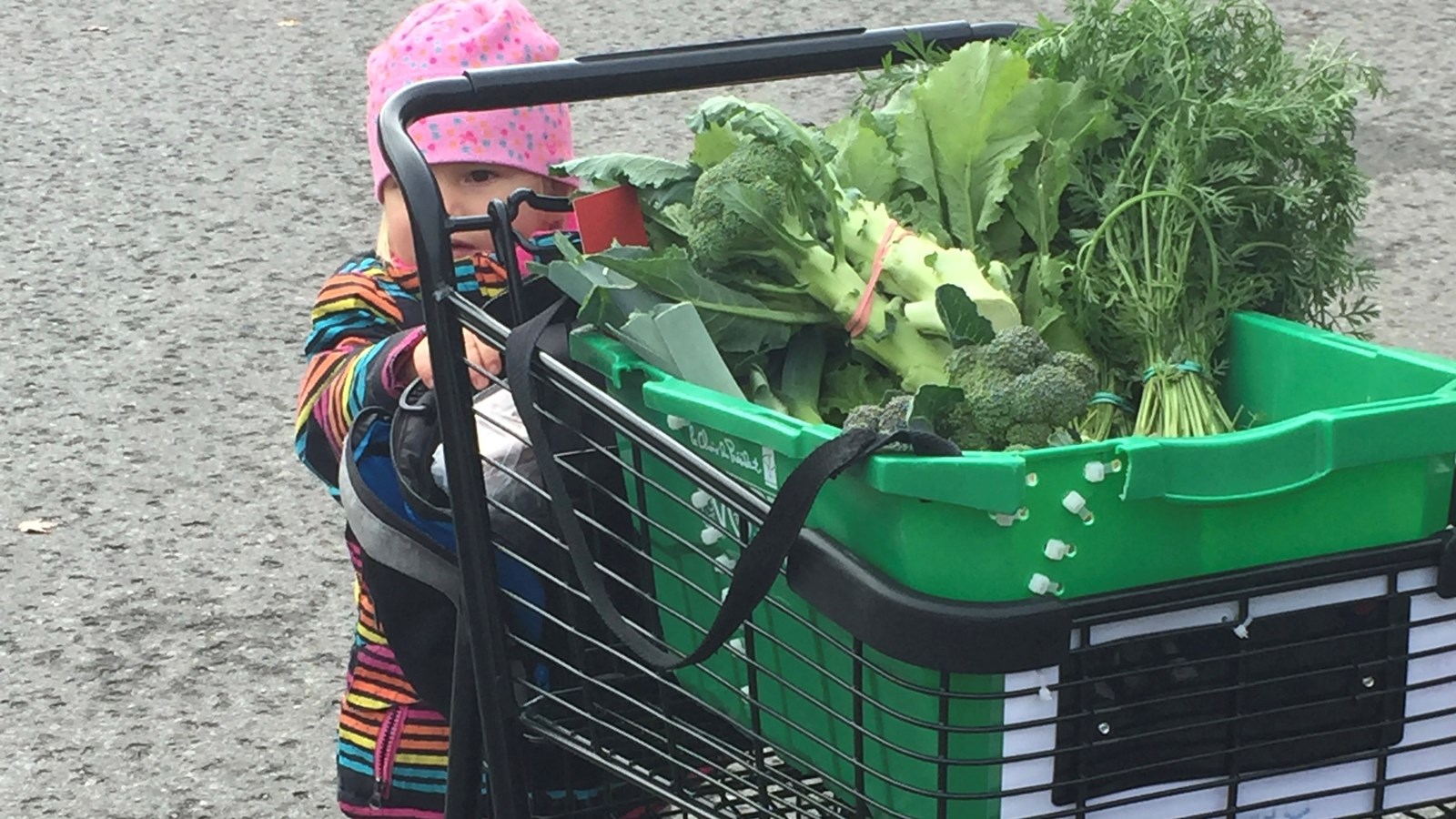 Marché D’Ici de Sainte-Marguerite-du-Lac-Masson