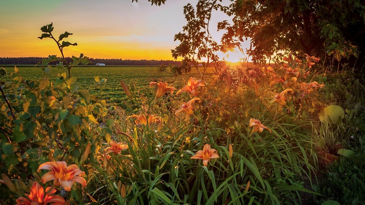 Le projet Agriclimat sélectionné pour poursuivre le travail en adaptation aux changements climatiques