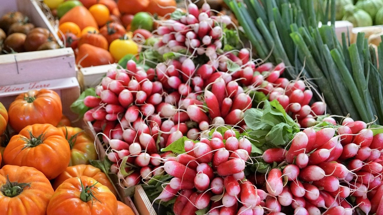 Un marché public à Sainte-Thérèse à compter de 2023
