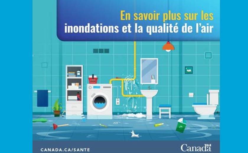 Attention, la moisissure peut vous rendre malade