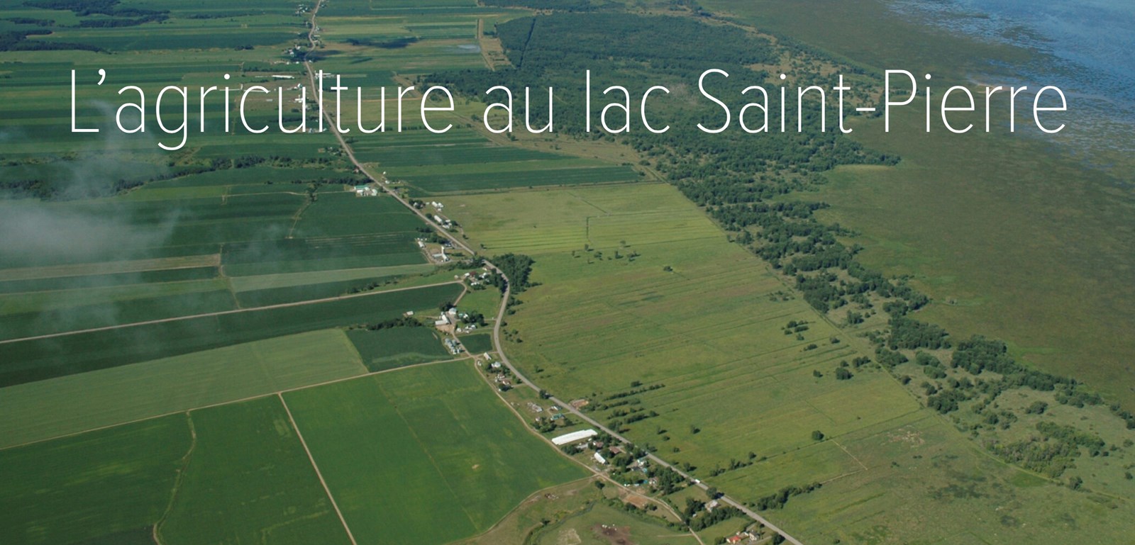 La cohabitation agriculture-faune en zone littorale du lac Saint-Pierre, en  voie vers une réussite!