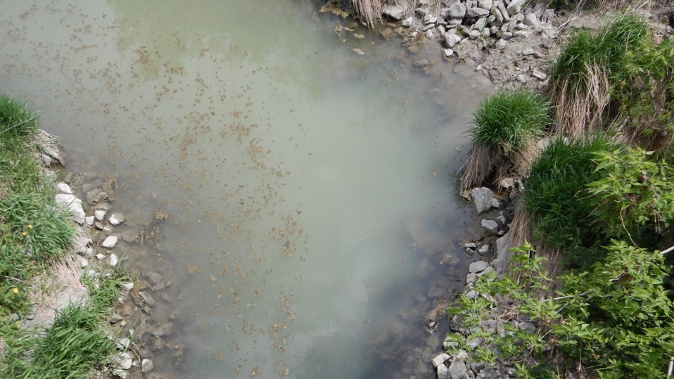Rivière Saint-Pierre, à Mirabel, en mai 2021