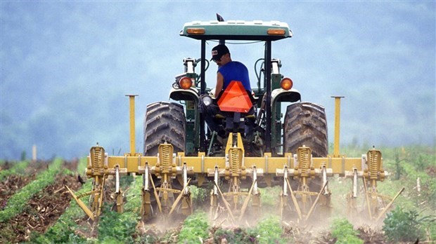 Les Producteurs de grains du Québec interpellent le gouvernement fédéral en regard des défis de la chaîne d’approvisionnement