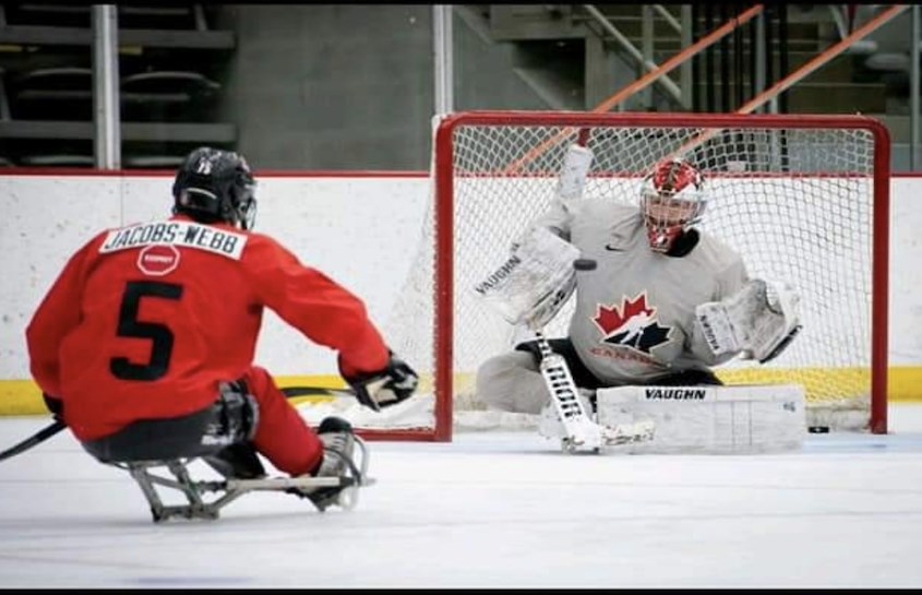 Jean-François Huneault / parahockey