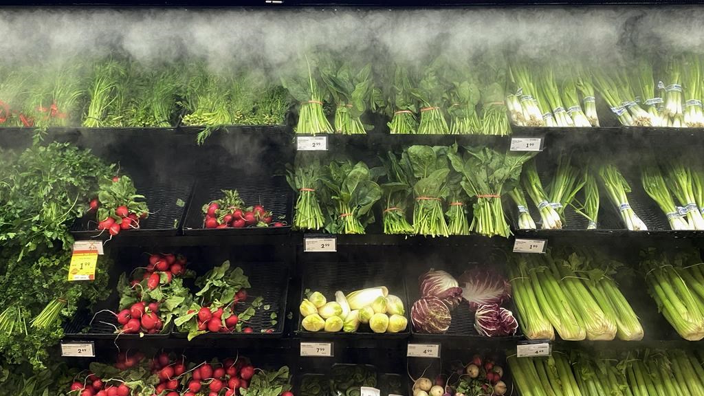 2024: des chercheurs prévoient une hausse plus faible des prix des aliments au Canada