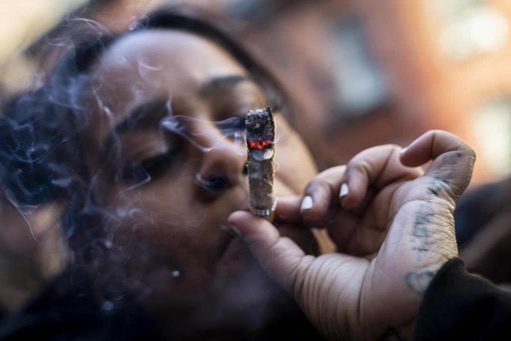 Le cannabis rehausserait le risque de schizophrénie