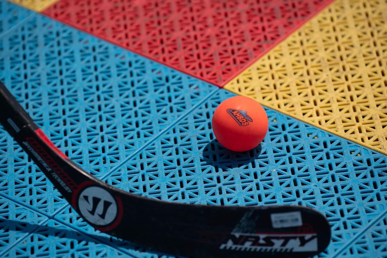 Troisième édition du 12 heures de Dek hockey CCM