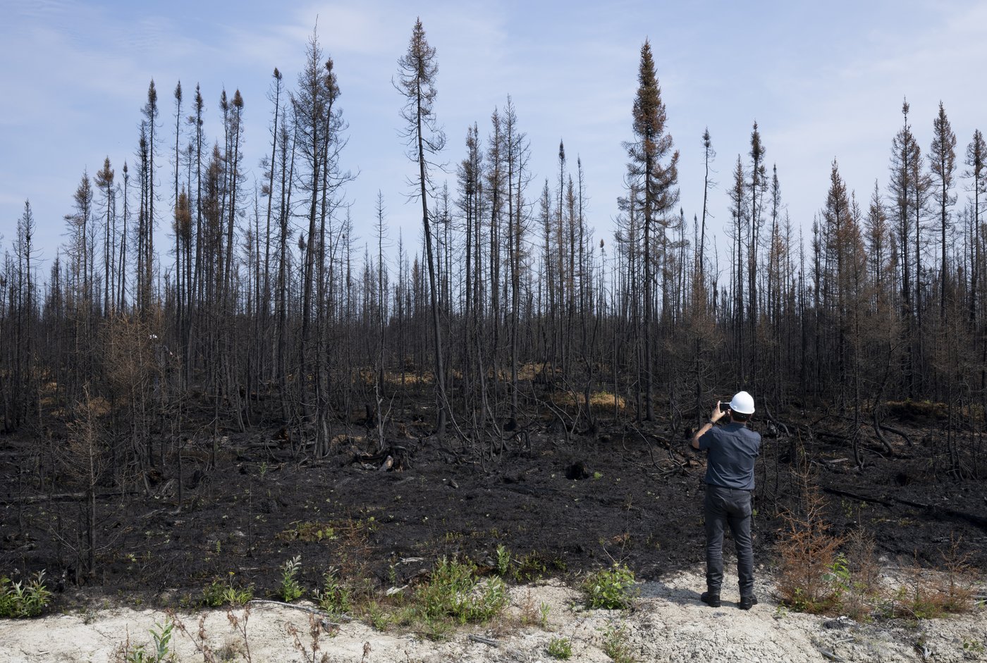 Climat: des changements structurels s'imposent, selon un avis remis au gouvernement