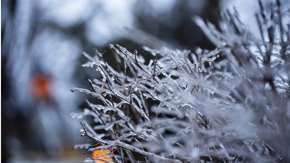 Un cocktail météo s'abat sur une grande partie du Québec pour le week-end de Pâques