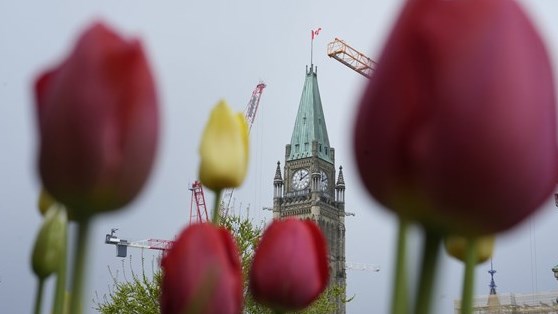 La loi sur la frontière va faire l'objet d'un recours constitutionnel
