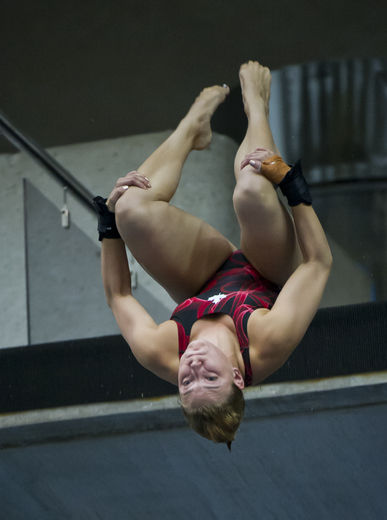 Après avoir pris la 4e place de la demi-finale mercredi, Roseline Filion a chuté au 8e échelon, jeudi, en finale à la tour de 10 mètres aux Championnats du monde de la FINA.