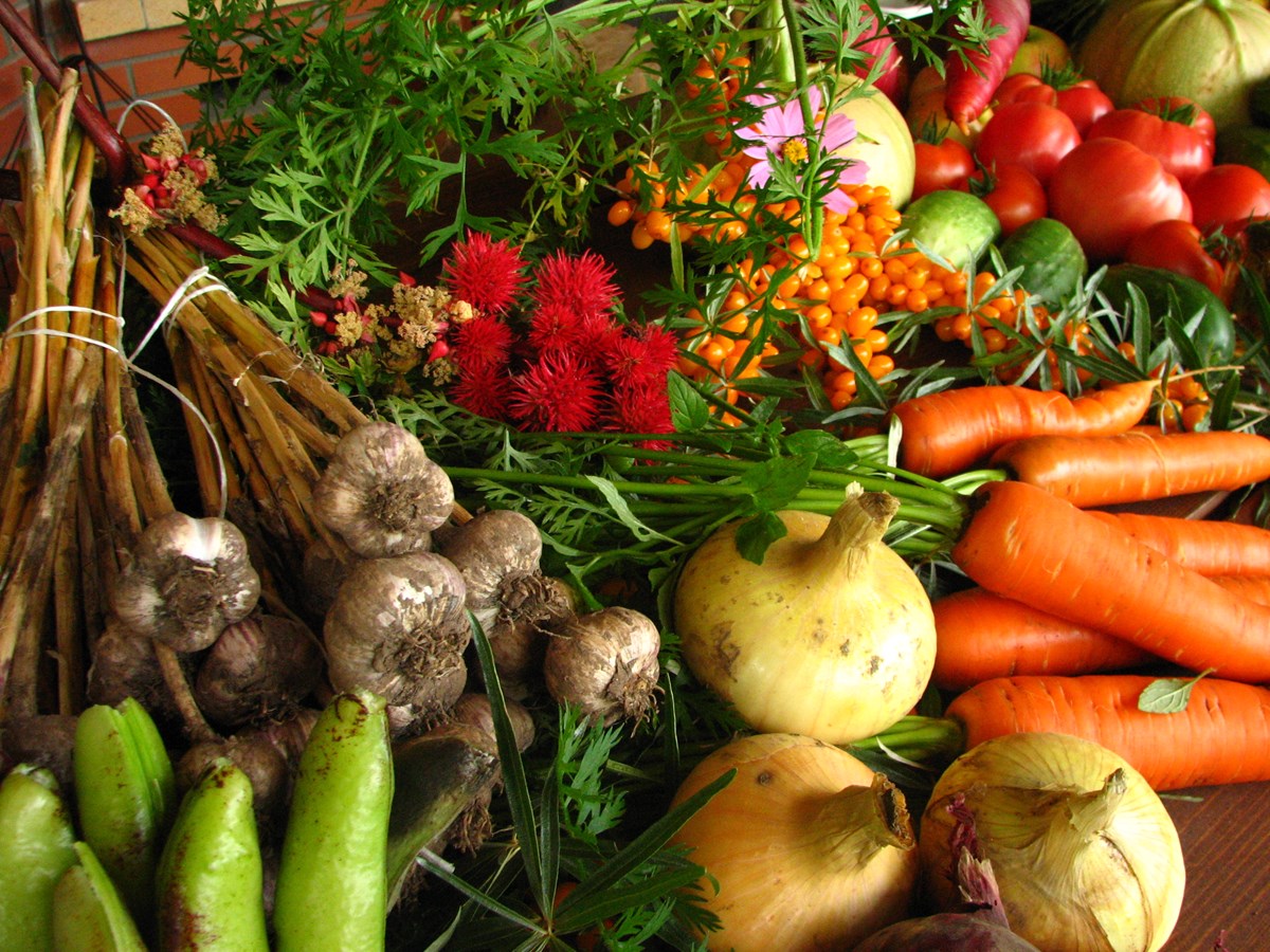 La députation lavalloise est heureuse de soutenir le développement de l'agriculture biologique à Laval