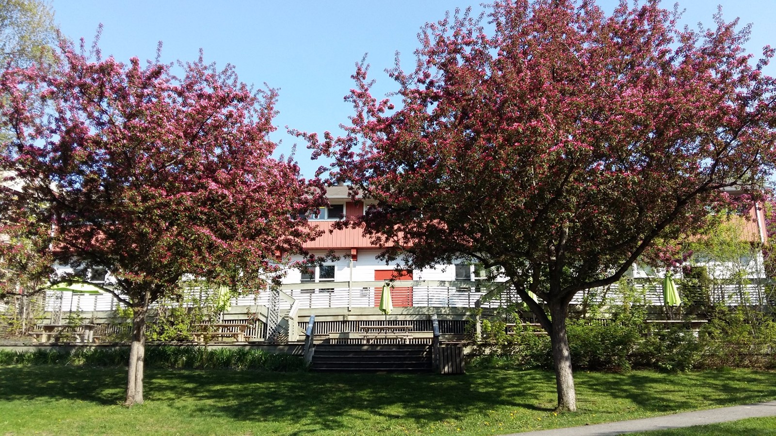 La fondation du chalet Ste-Rose, un véritable conte de Noël !