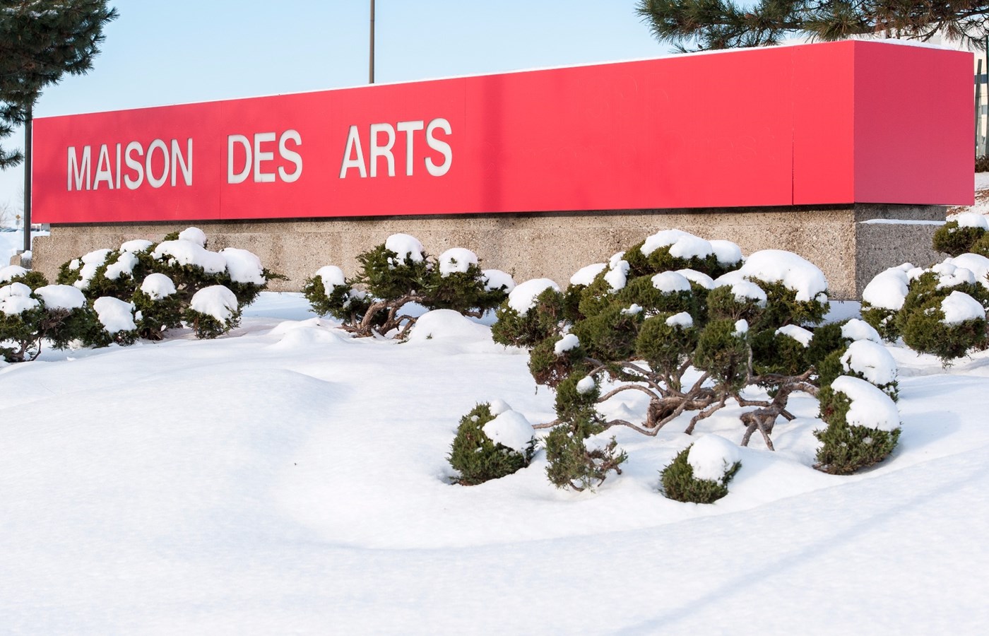 La Maison des arts obtient une subvention du CALQ pour bonifier son programme jeune public