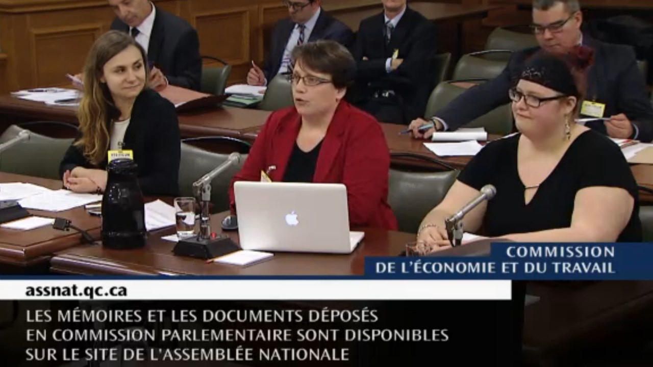 L'agente de recherche du ROCAJQ, Denitsa Hristova, la directrice du ROCAJQ, Sylvie Norris, et une jeune femme fréquentant l'un des organismes membres du ROCAJQ, Émilie Roy, ont pris la parole lors de la commission parlementaire.