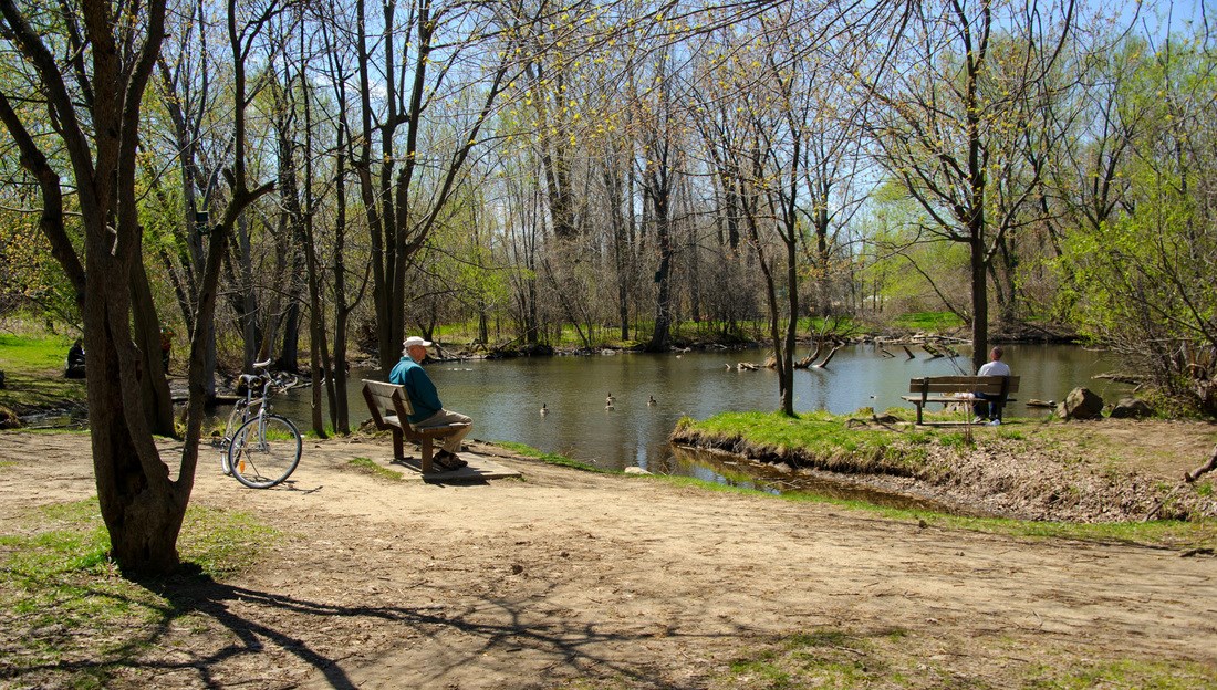 Un été chaud au parc des Prairies