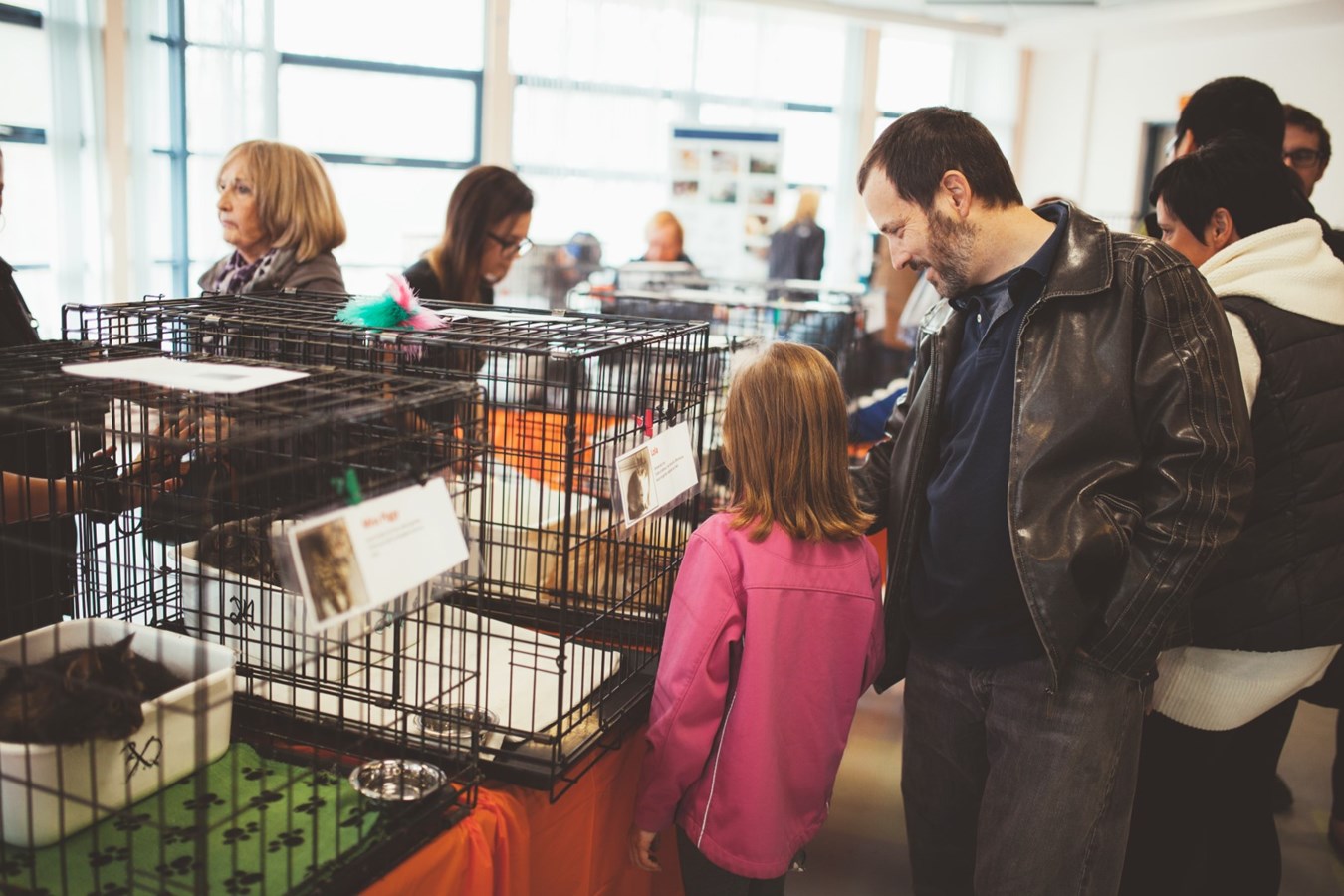 Lancement de la journée d’adoption d’animaux de compagnie