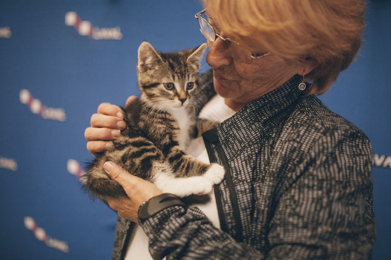 Lancement de la journée d’adoption d’animaux de compagnie