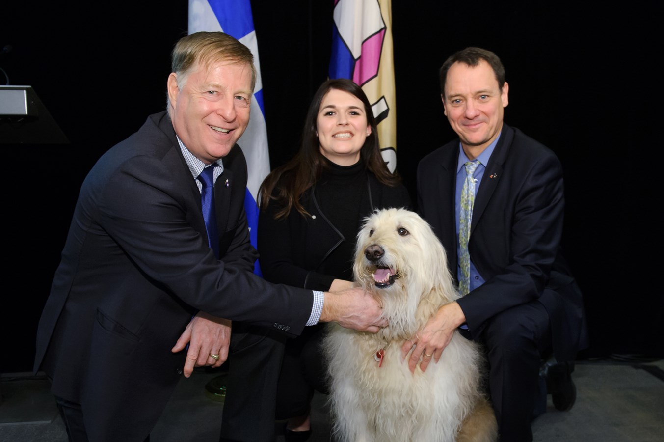 Un nouveau règlement municipal au sujet des animaux