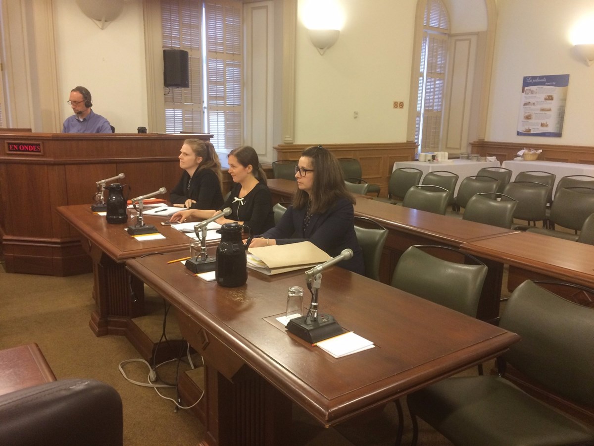 Projet de loi 132 sur les milieux humides et hydriques : la Ville de Laval demande des précisions