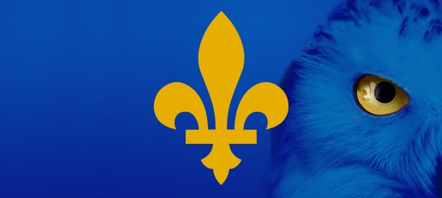 La Ville dévoile la programmation de sa fête nationale