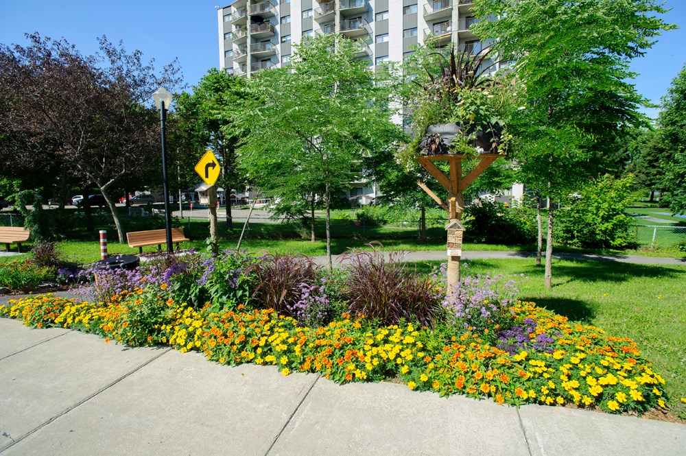Deuxième édition du concours Mon quartier fleuri