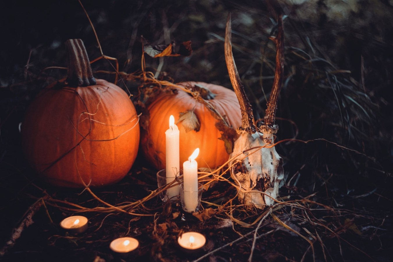 Halloween : la Sûreté du Québec rappelle quelques consignes de sécurité