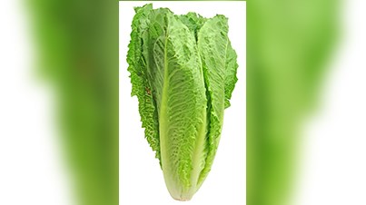 L'Agence de santé publique demande de ne plus consommer de laitue romaine