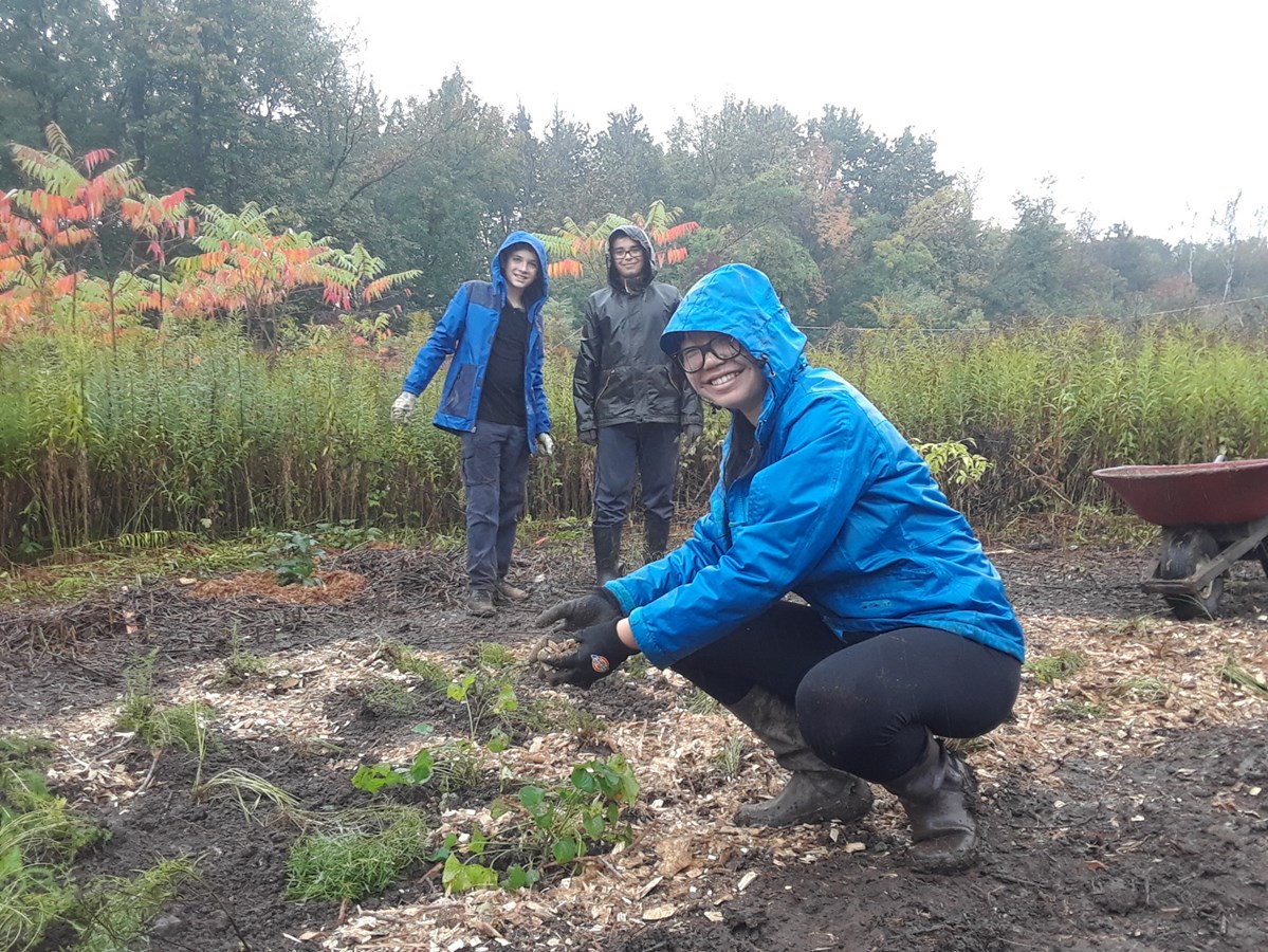 Un nouveau Belvédère d'observation de la friche et un jardin pour pollinisateurs au Bois de l'Équerre