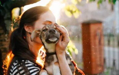 La Journée d'adoption d'animaux débute ce soir à Laval