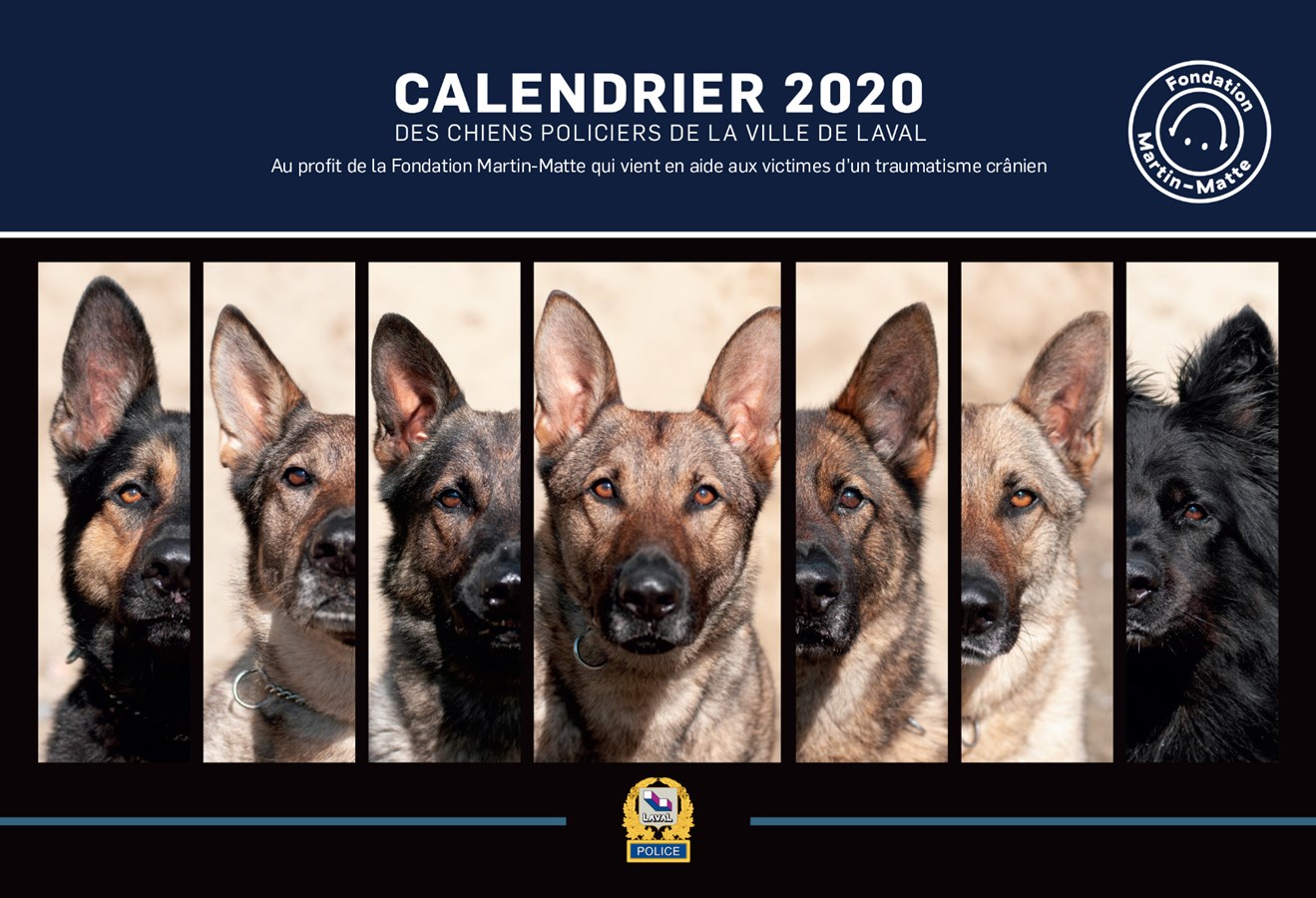 Le calendrier 2020 des maîtres-chiens est désormais disponible. La vente des calendriers permettra à la Fondation Martin Matte de financer les loisirs et le répit des personnes qui ont vécu un traumatisme crânien.