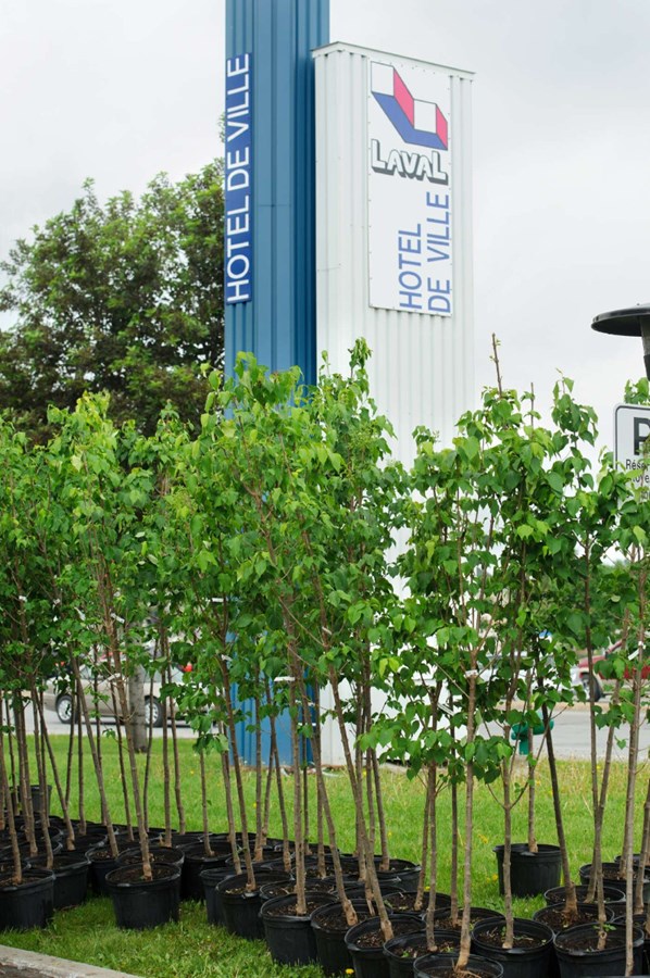 Laval publie son bilan d’adaptation aux changements climatiques