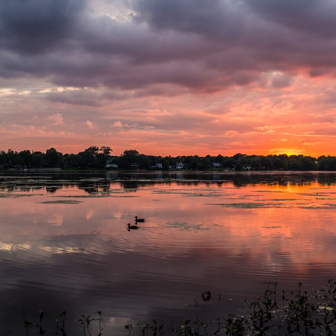 Un concours Instagram "Partage ton île" pour redécouvrir Laval