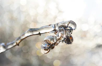 Avertissement de précipitations abondantes : les équipes de déneigement de Laval s'activent