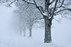Accumulation de neige : conseils de sécurité