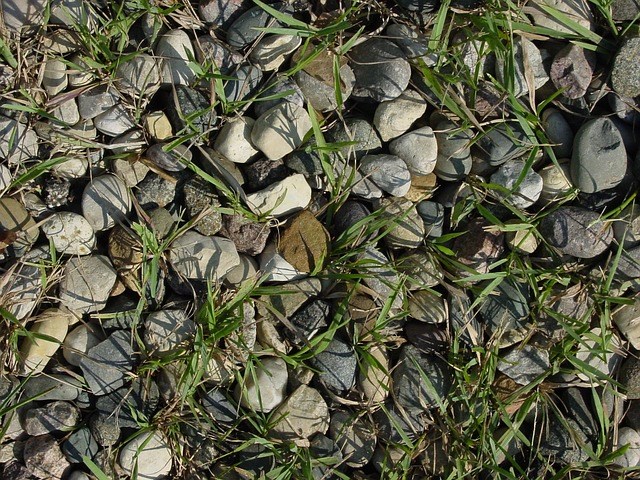 Comment tuer les mauvaises herbes dans le gravier?