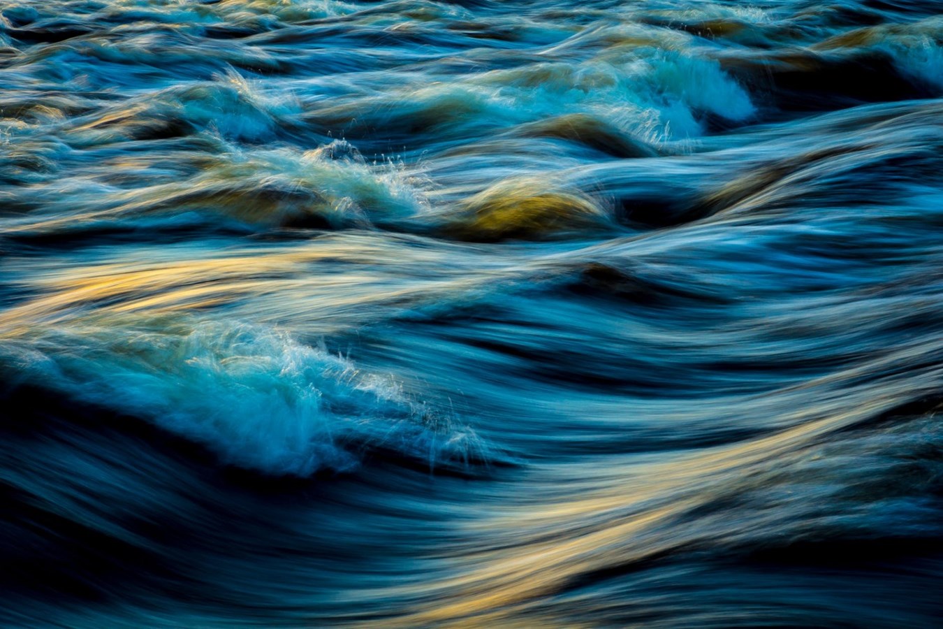 Naviguer sur la vie marine, une conférence qui déplace de l’eau