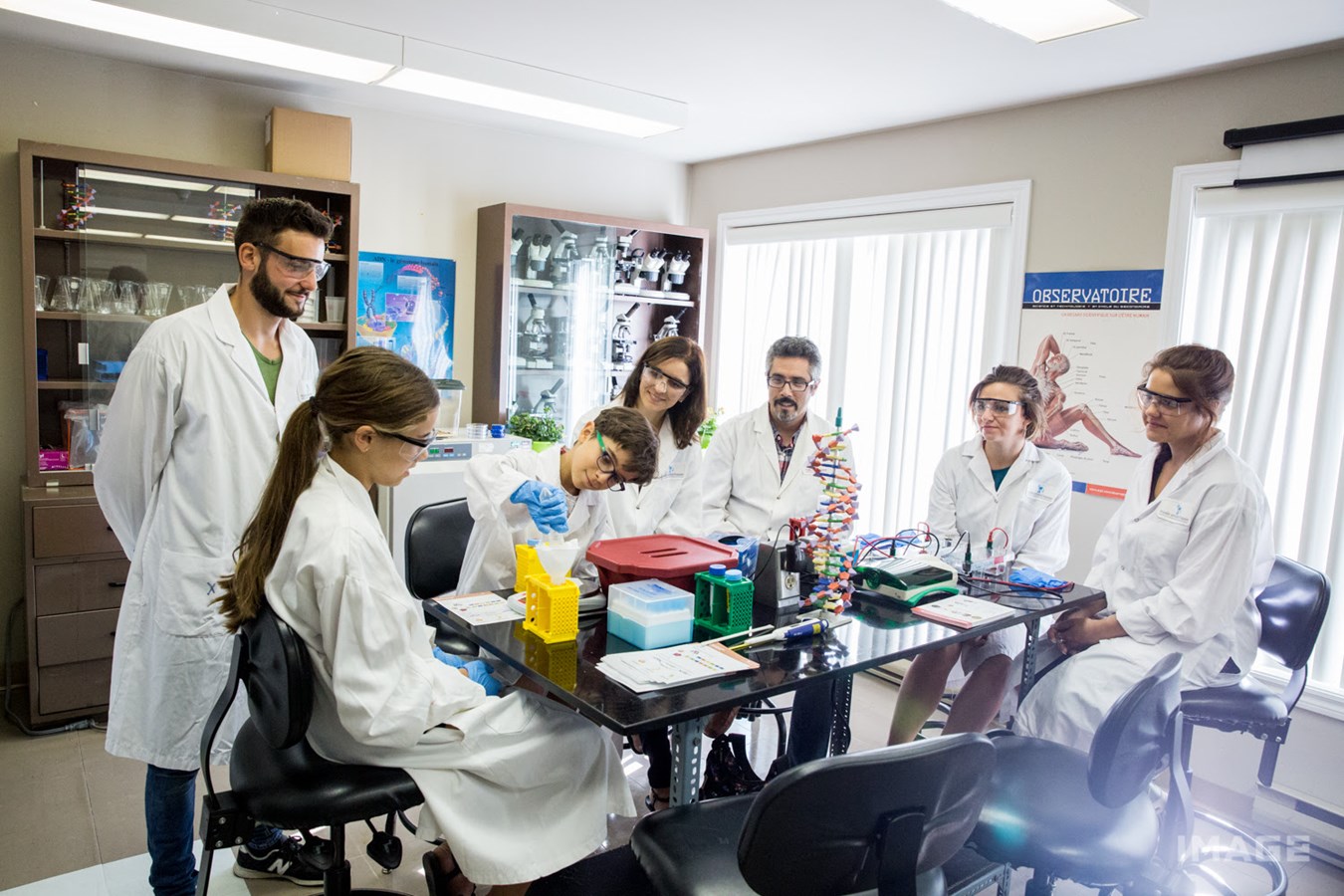 Laboratoire "Extraction d'ADN" proposé dans le cadre de la programmation " ADN : les airs de famille expliqués! "