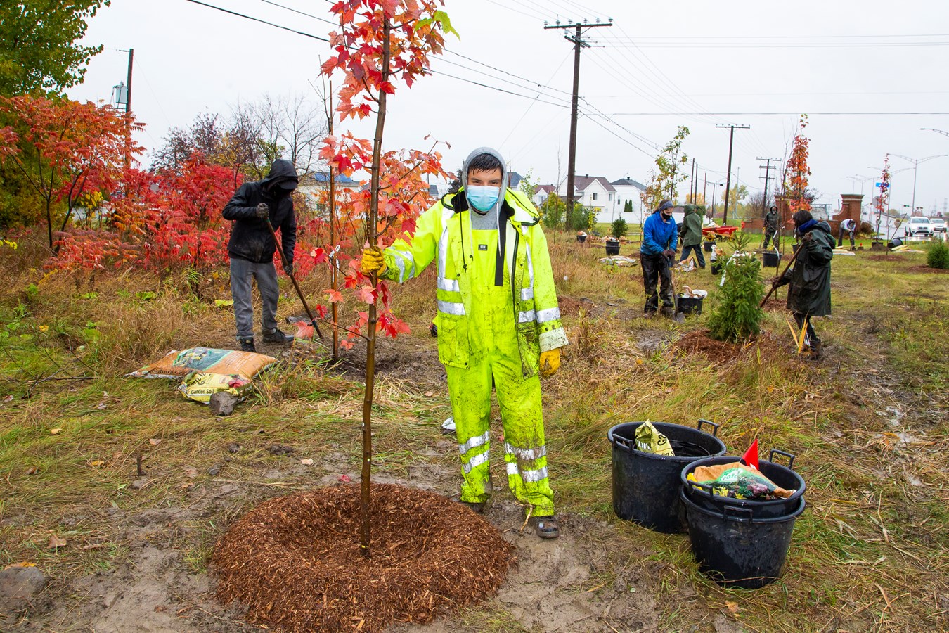 D’ici la fin de l’automne, plus de 34 000 arbres et 16 000 arbustes auront été plantés à Laval.