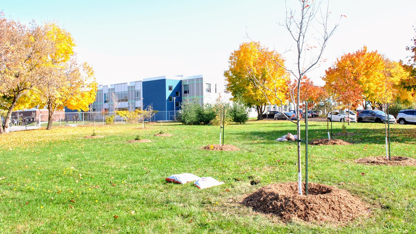 Laval Junior Academy 