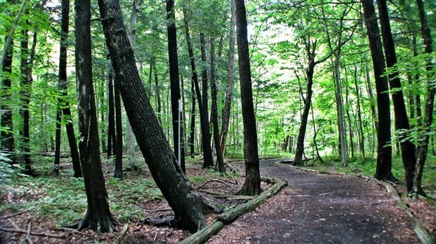 28 127$ pour soutenir un projet au Bois de l’Équerre