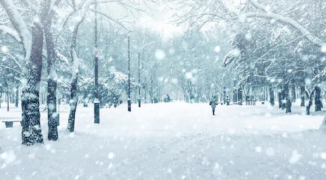 Pluie et neige à venir : les équipes de déneigement en action