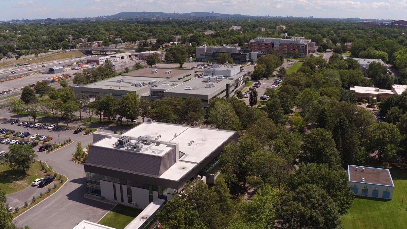 Les 13 entreprises de la Cité de la Biotech proviennent de différents secteurs du domaine biopharmaceutique. Ce sont des entreprises de toutes tailles, des compagnies internationales bien établies jusqu’aux start ups, dont certaines sont en incubation au Centre québécois d’innovation en biotechnologie (CQIB).